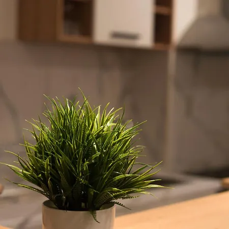 Апартаменти Ira's Square 2 Bedroom Free Parking *